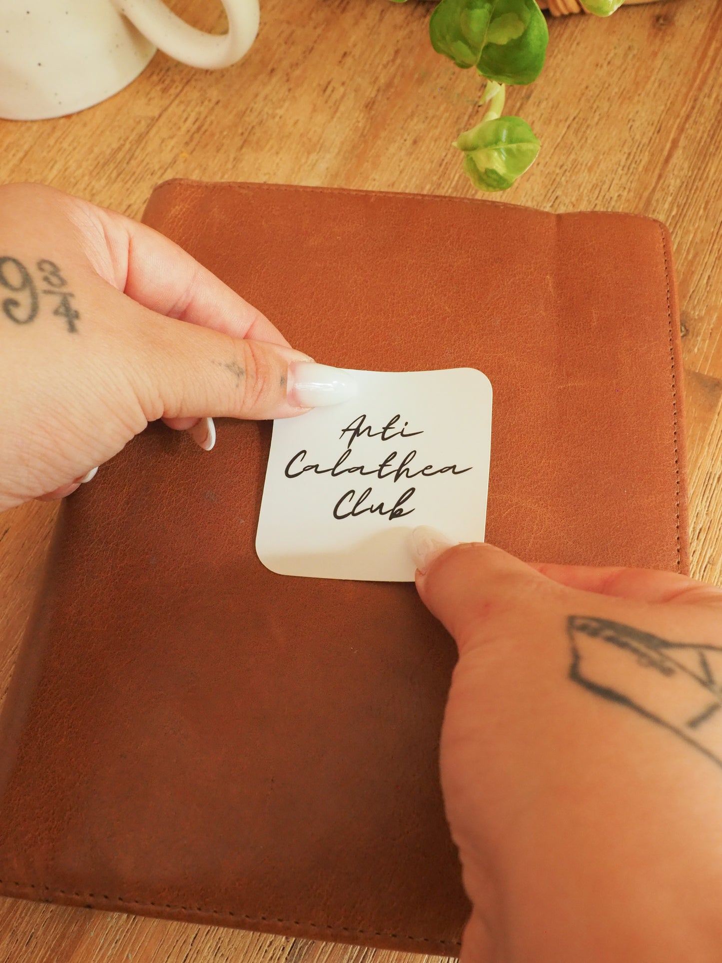 Sticker - Anti Calathea Club