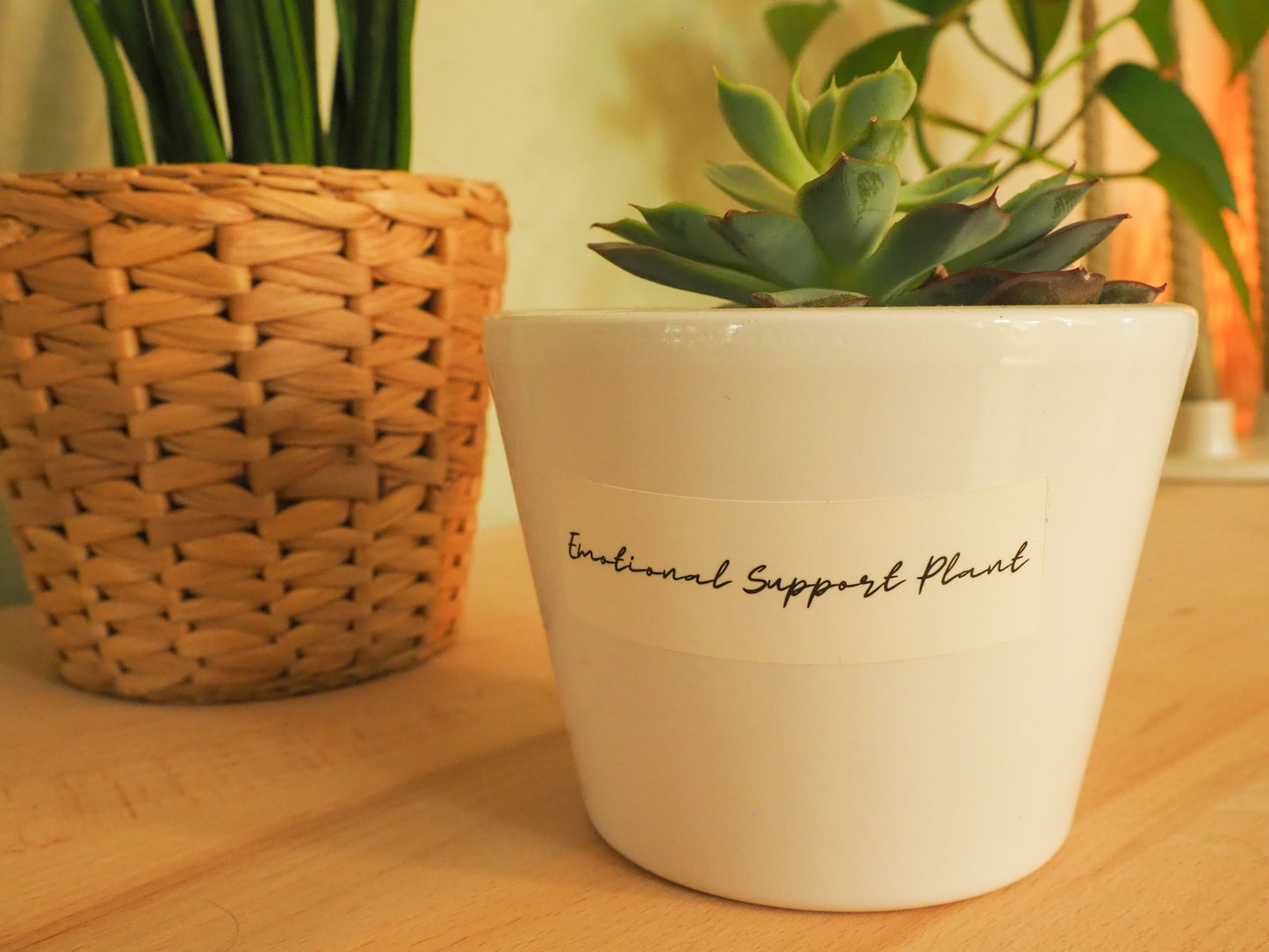 Sticker - Emotional Support Plant