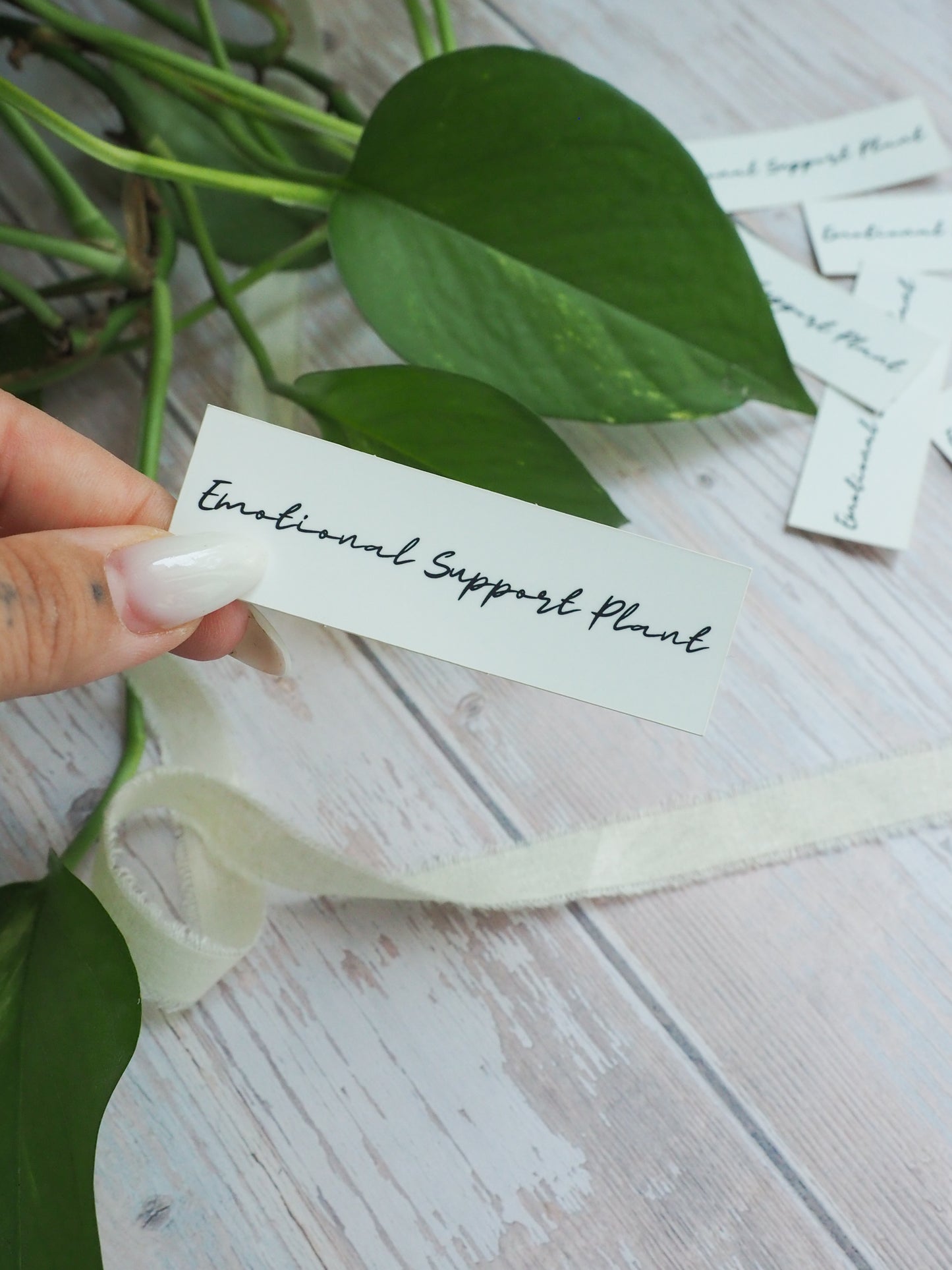 Sticker - Emotional Support Plant