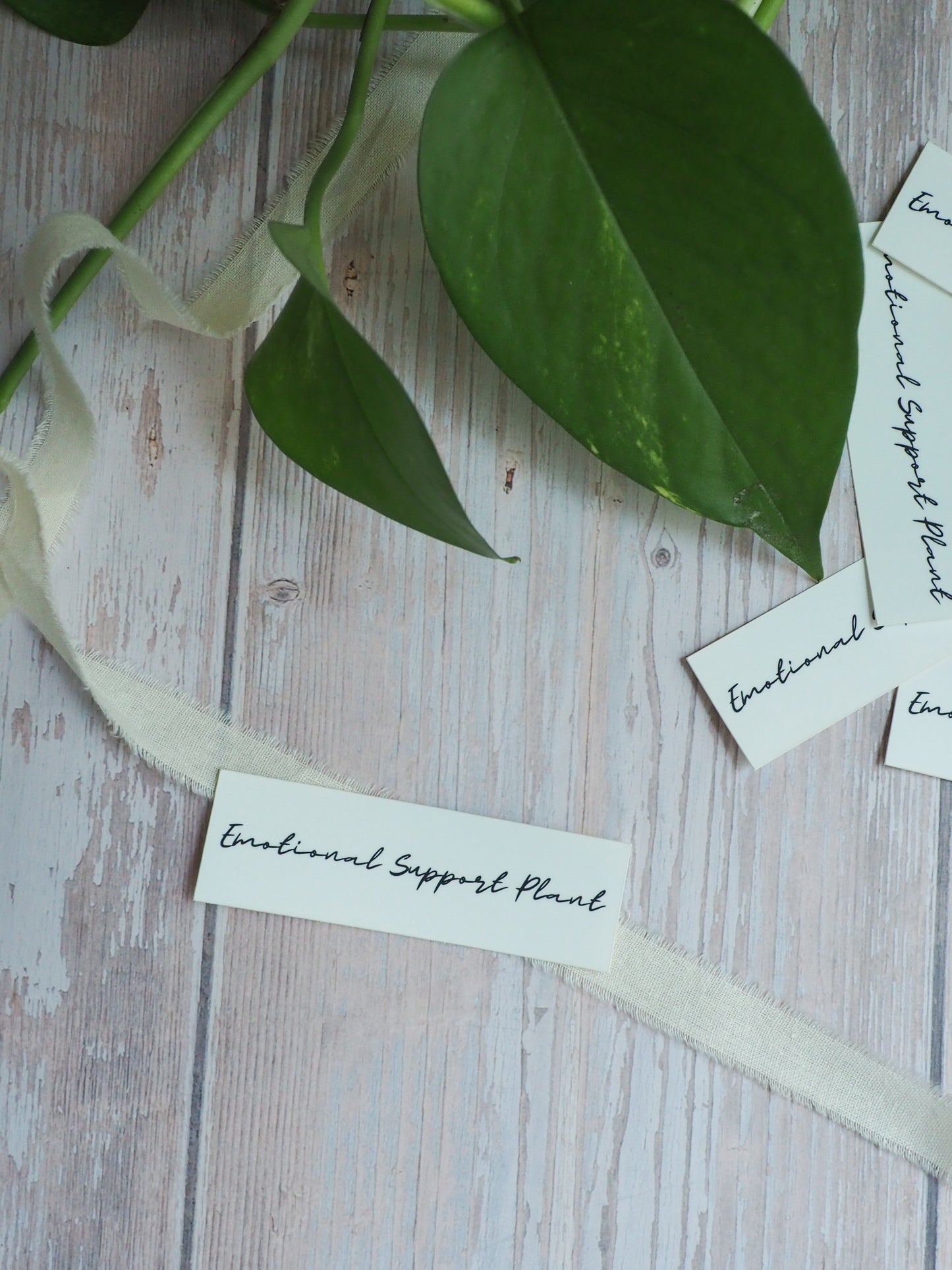 Sticker - Emotional Support Plant