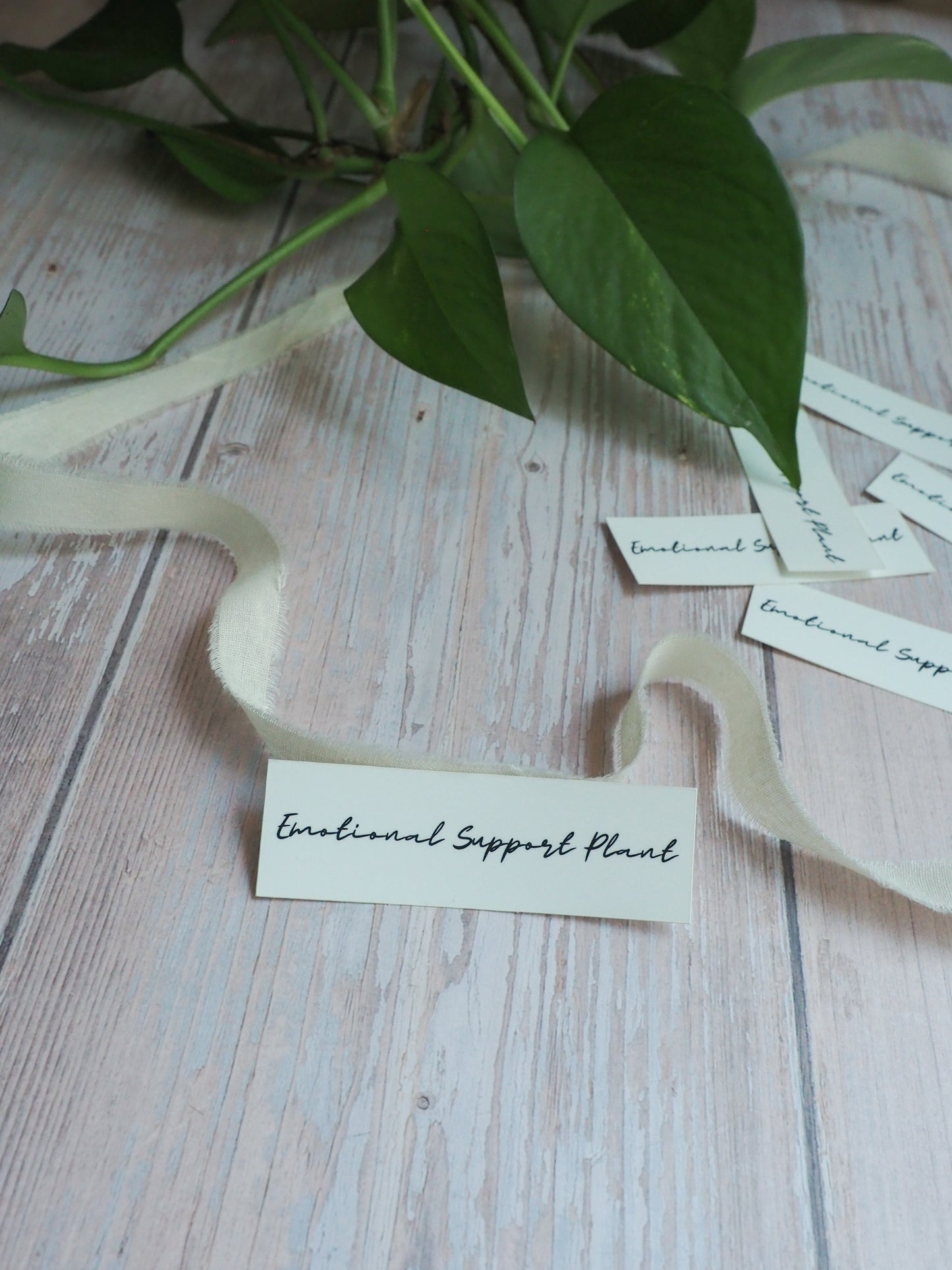 Sticker - Emotional Support Plant