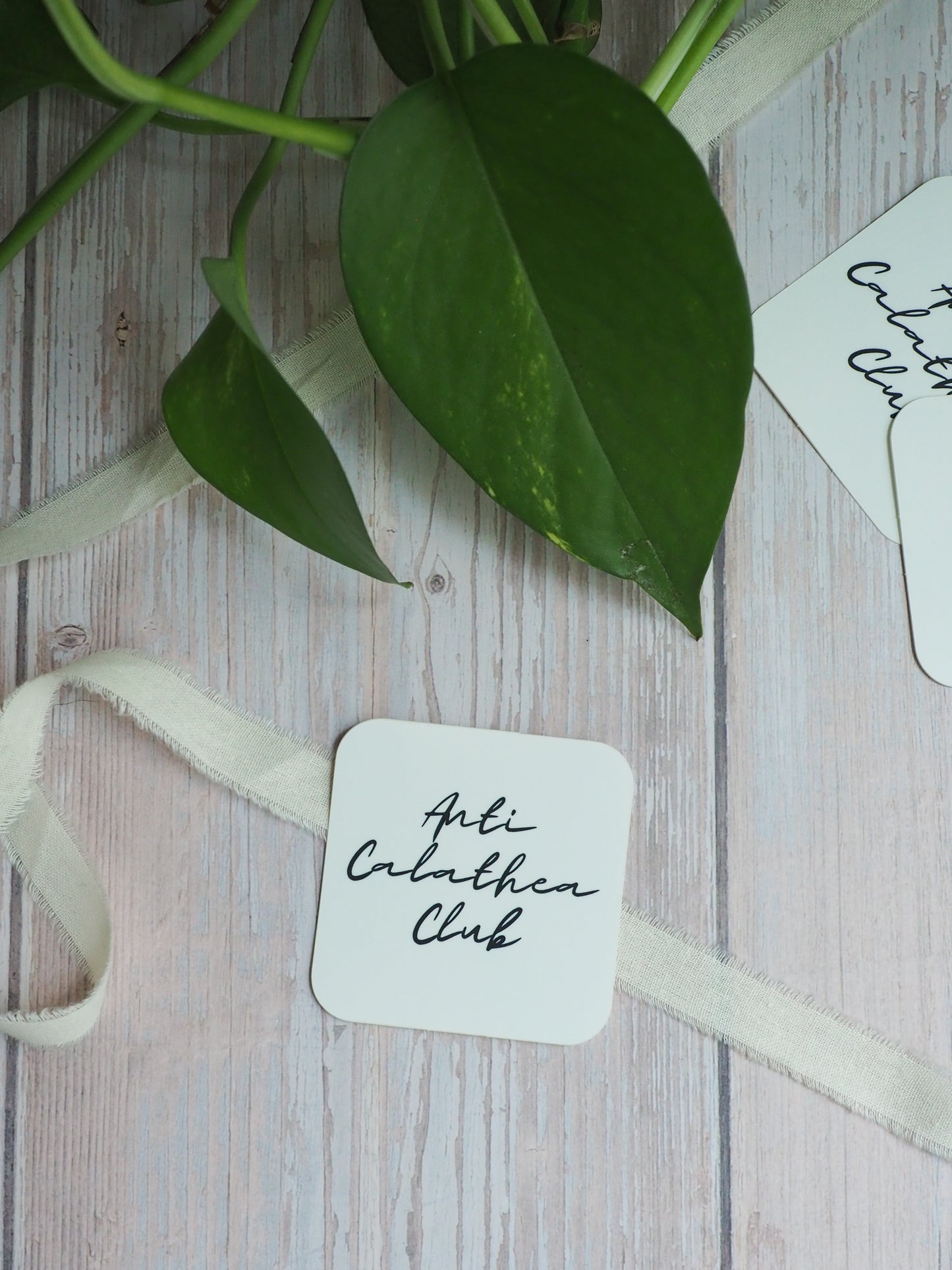 Sticker - Anti Calathea Club