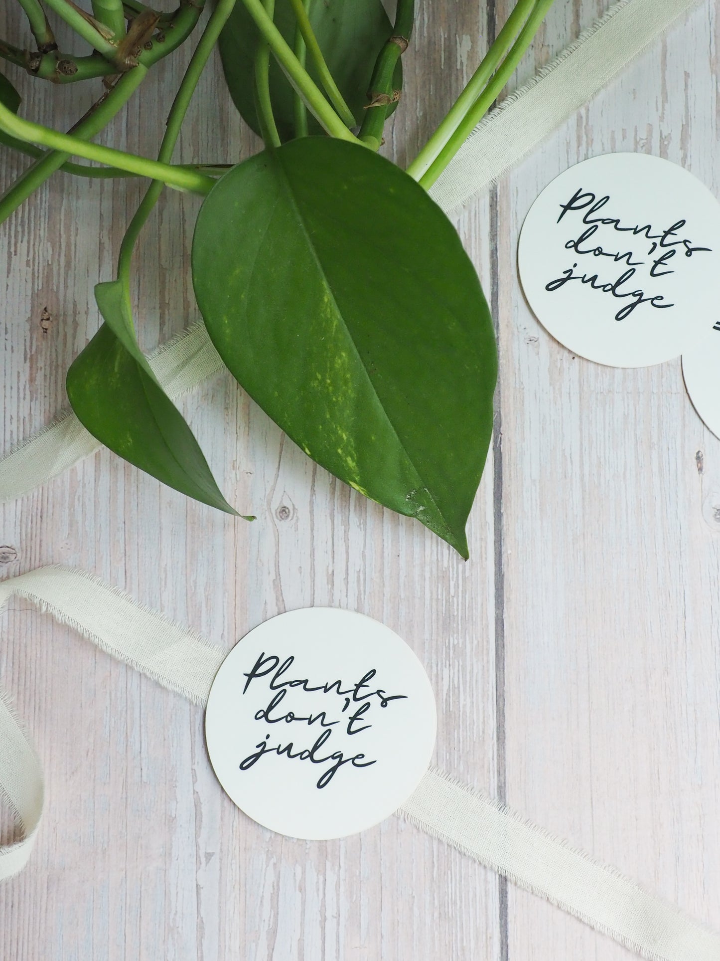 Sticker - Plants don't judge