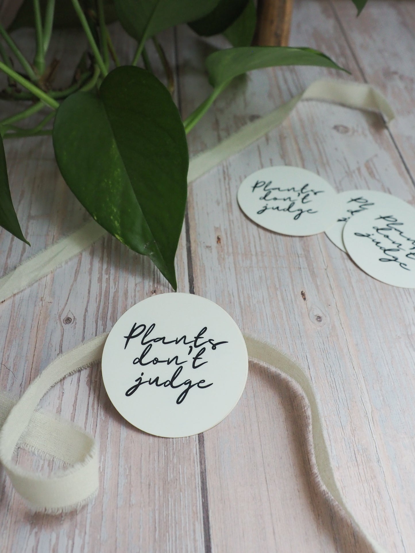 Sticker - Plants don't judge