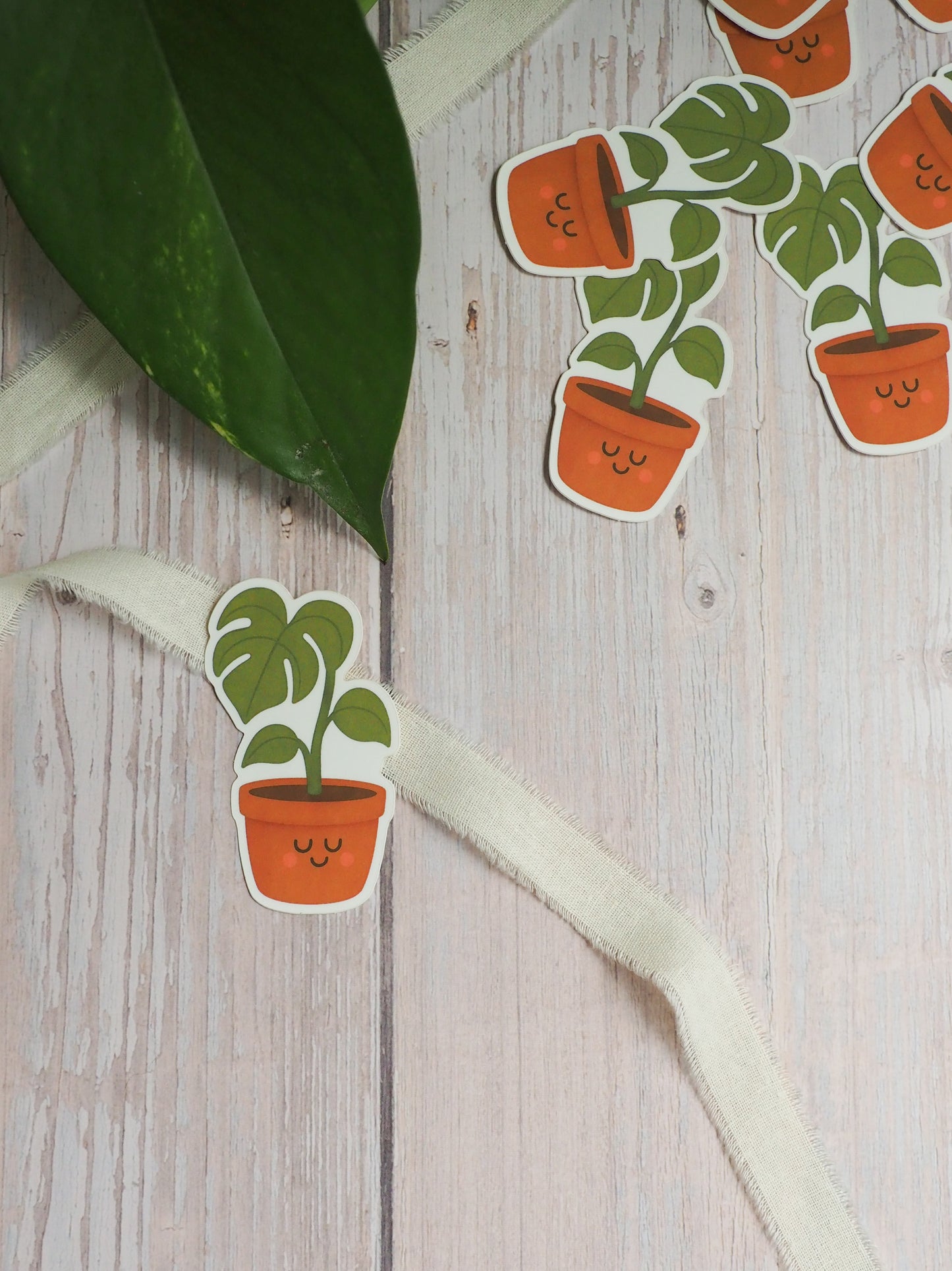 Sticker - Monstera