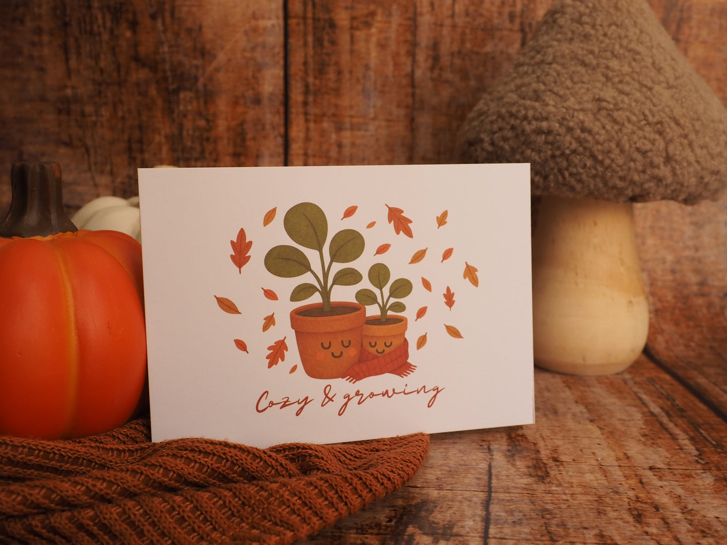 Herbst-Bundle "Cozy vibes"